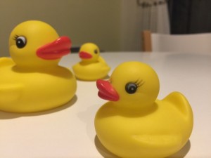 iPhone6 Plusで撮影