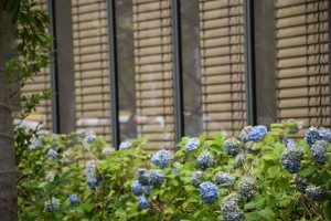 横浜 綱島 研究開発施設 Apple YTC asm撮影