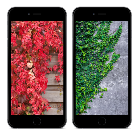 Ios10の新機能 Home アプリの美しいiphone用壁紙2種類が公開 Iphone Mania