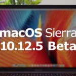 macOS Sierra 10.12.5 ベータ