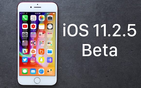 iOS11.2.5 ベータ