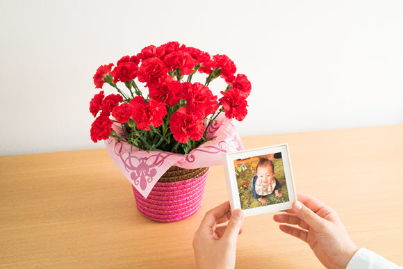 スマホで簡単注文 写真と花をセットで贈る母の日ギフト 5月6日まで Iphone Mania