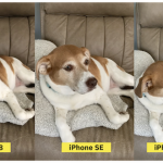 iPhone SE（第2世代） カメラ比較 MacRumors