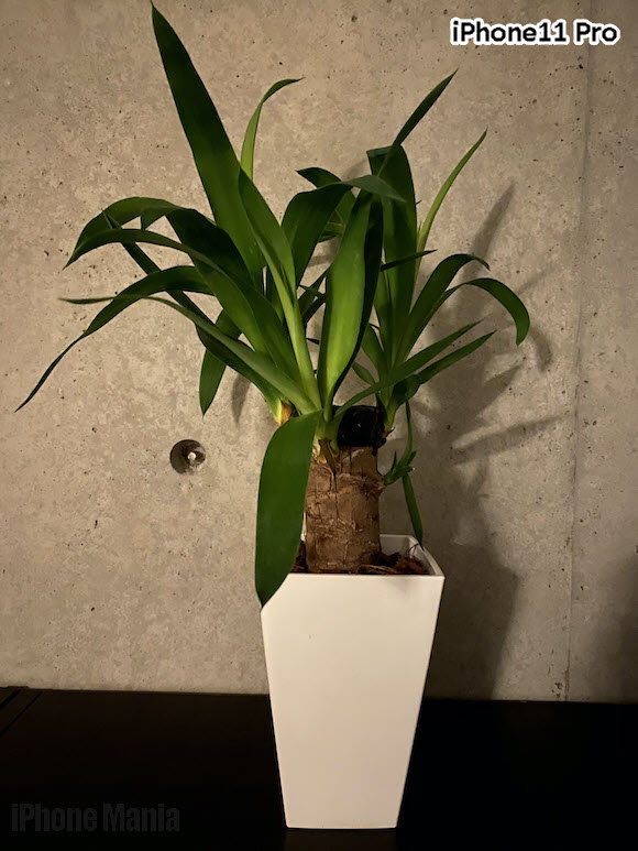 softbank Pixel 4a_036