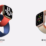 Apple Watch Series 6 and SE