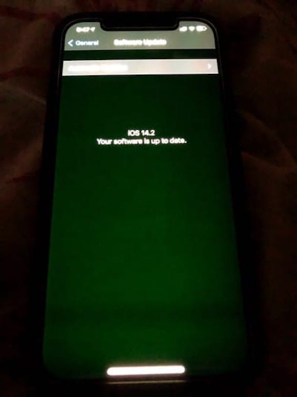 iPhone12 display problem_01
