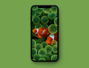 Top wallpapers in 2020_1