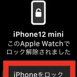Tips iOS14 マスク iPhone 解除