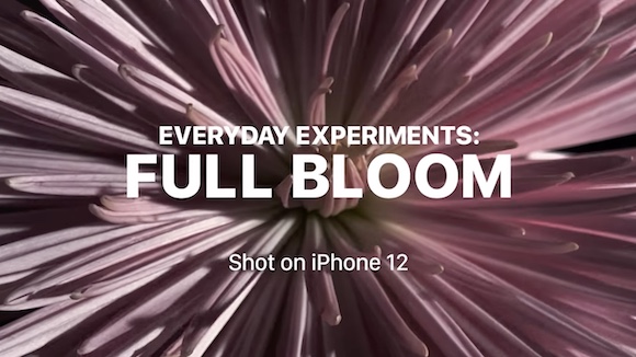 Shot on iPhone 12 — Everyday Experiments: Full Bloom