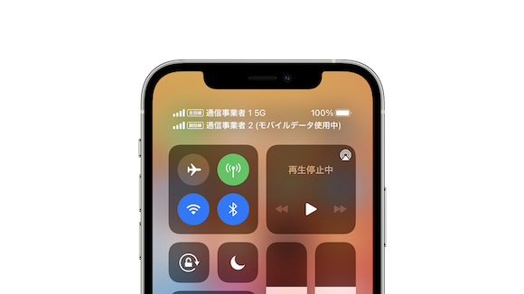 Apple iPhone 「eSIM でデュアル SIM を活用する」