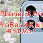 iPhone13 Pro ProRes 動画撮ってみた