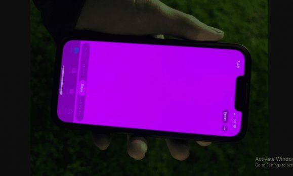 画面がピンク色になったiPhone13