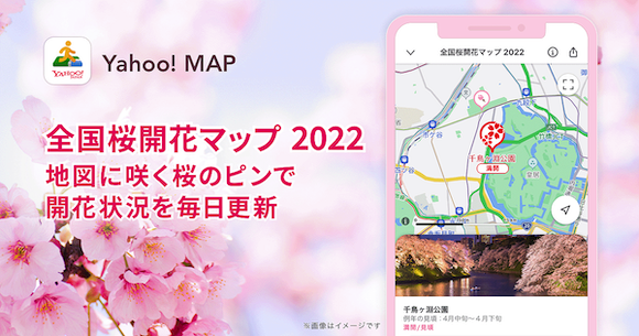 Yahoo map cherry 2022_7