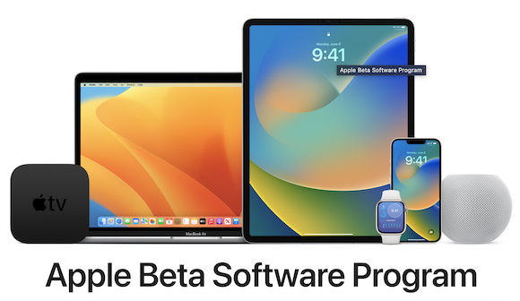 Beta software program 2022