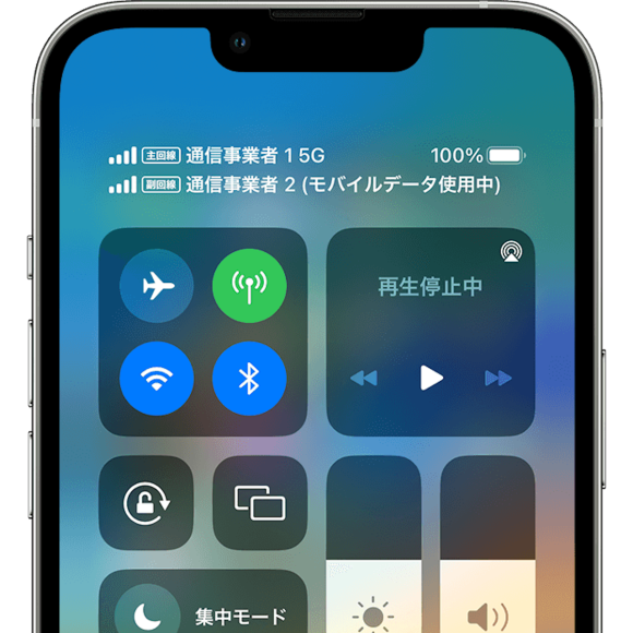 iOS16 dual sim