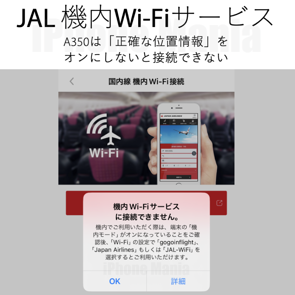 JAL WiFi A350_10