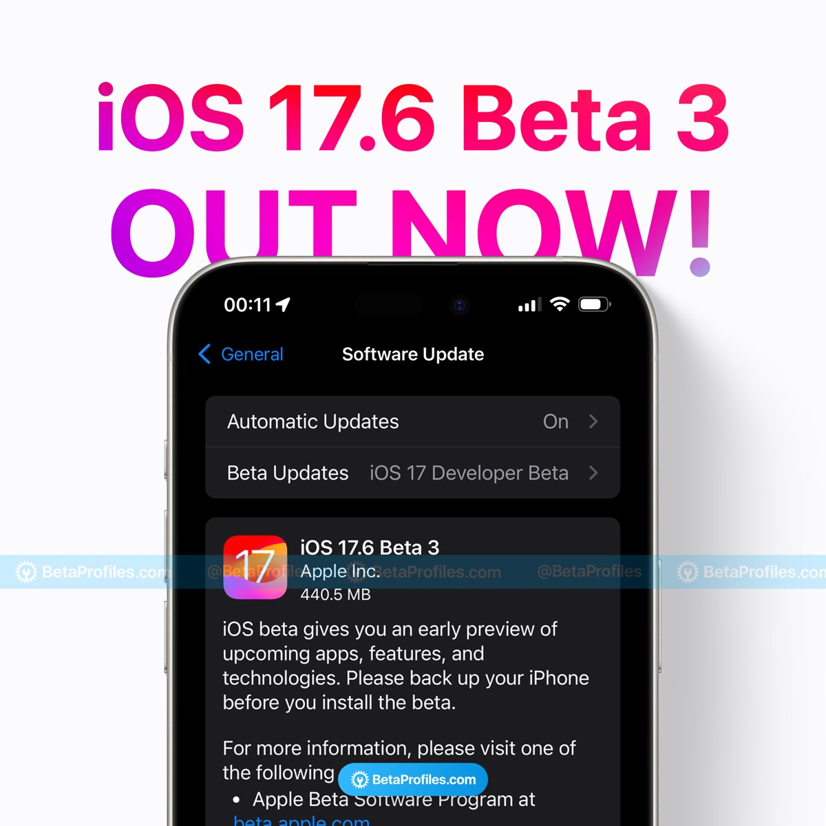iOS176b3 BP_1200