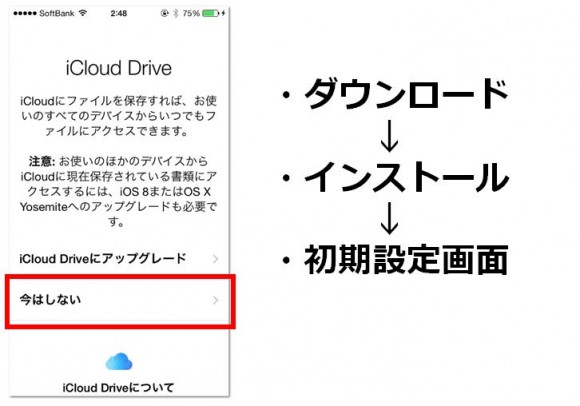 iCloud Drive 設定画面