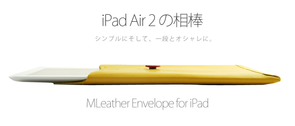 iPad Air 2ケース