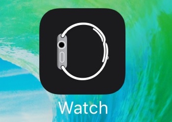 Apple Watch アプリ 名称変更