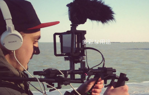 BEASTGRIP PRO