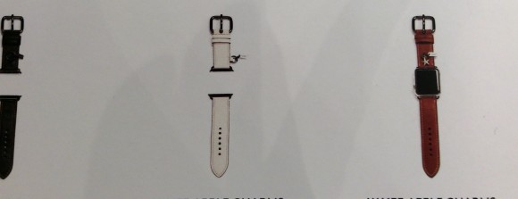 Apple Watch COACH