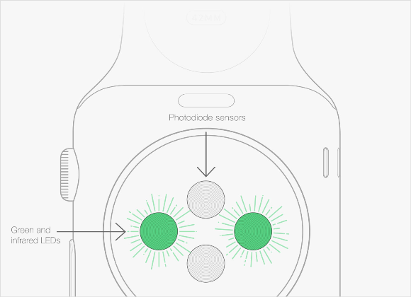 Apple Watch 心拍数センサー
