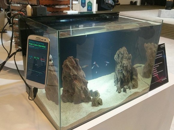 Galaxy S3を水槽の監視に活用