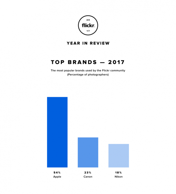 yir2017-infographic_top-brands2x