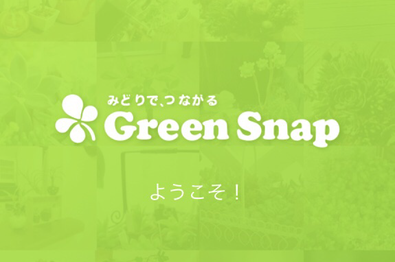 Green Snap