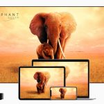 Apple TV+ ゾウの女王 〜偉大な母の物語〜