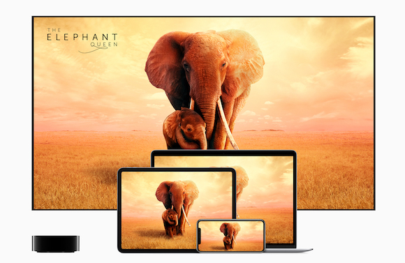 Apple TV+ ゾウの女王 〜偉大な母の物語〜