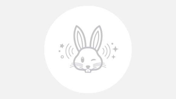 Apple 初売り AirTag