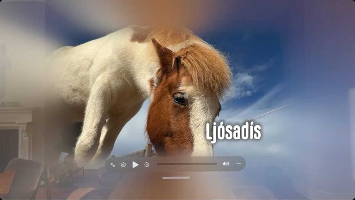 WWDC25 visionOS26