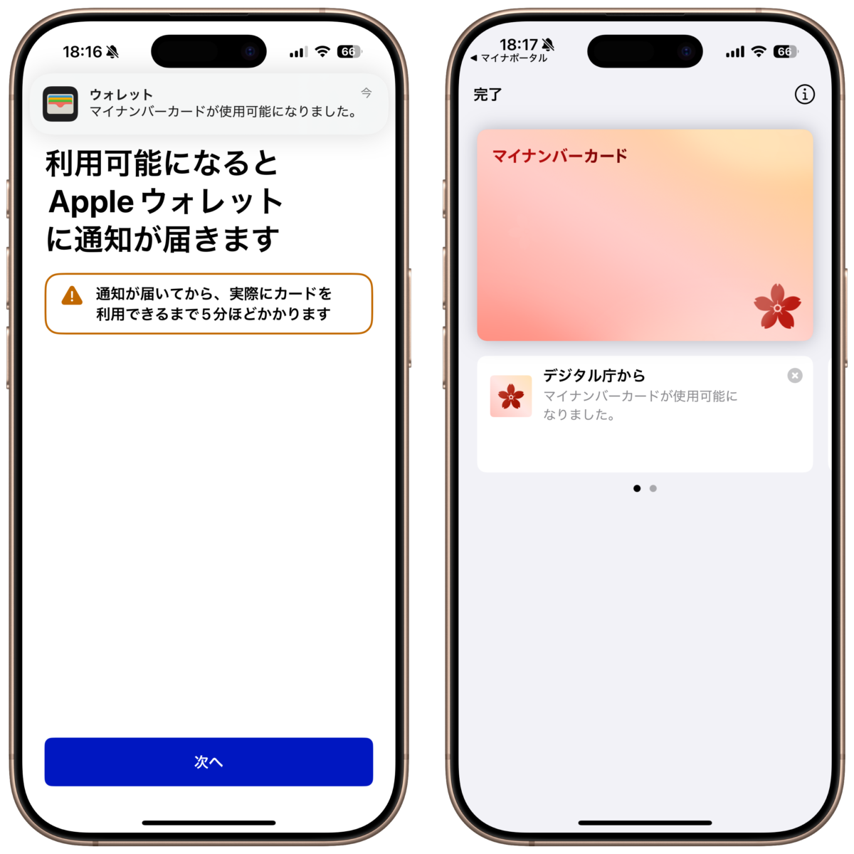 iPhone マイナンバーカード hato/iPhone Mania