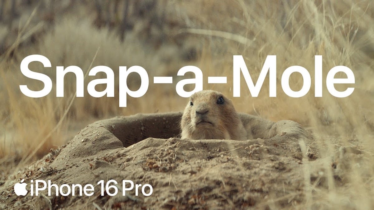 iPhone16 Proの新作CM公開！動物のひょっこり顔に癒される