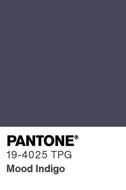pantone-color-chip-19-4025-tpg