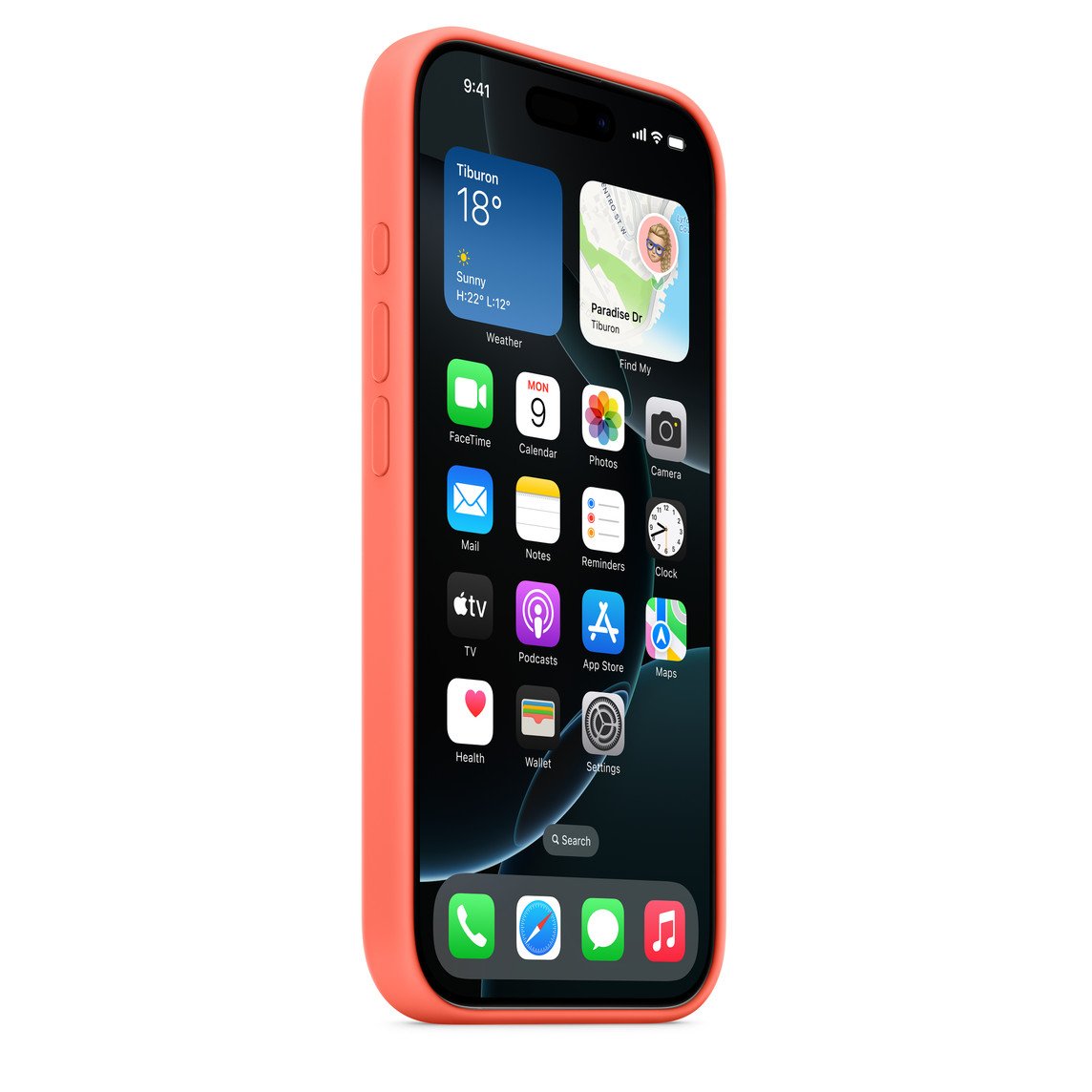 iphone16 pro genuine case