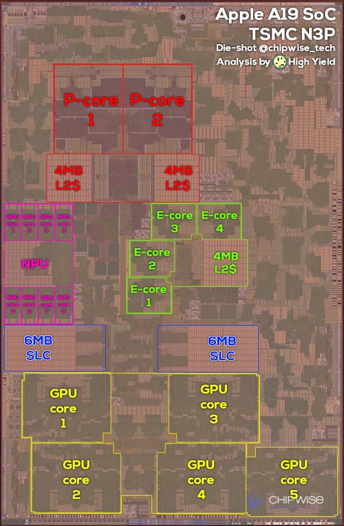 Apple A19 die shot_3