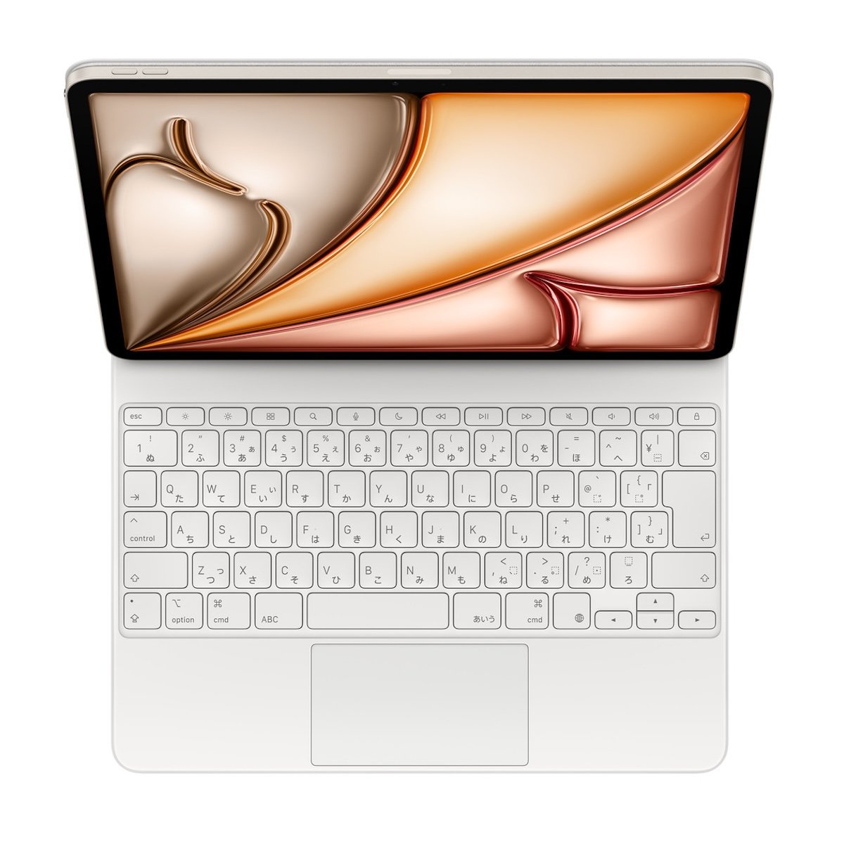 ipad pro MK_1