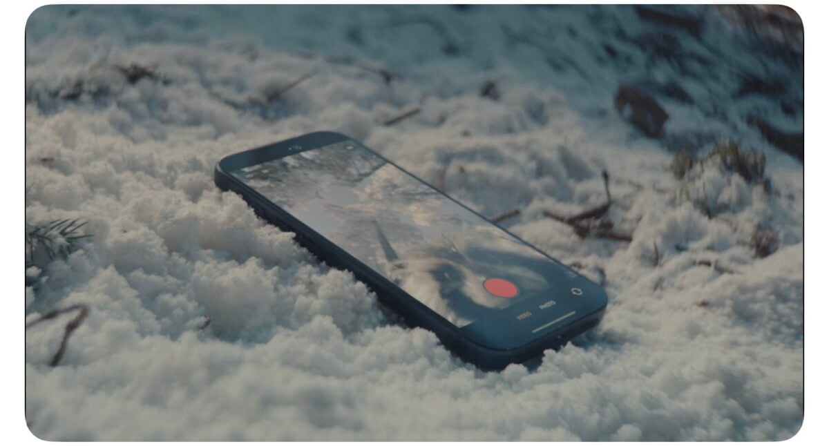 Apple 2025年ホリデー広告「A Critter Carol」