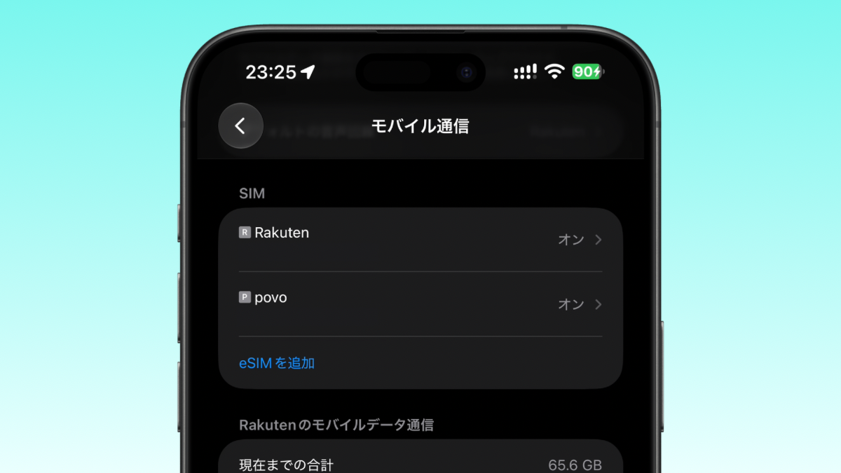 iPhone デュアルSIM