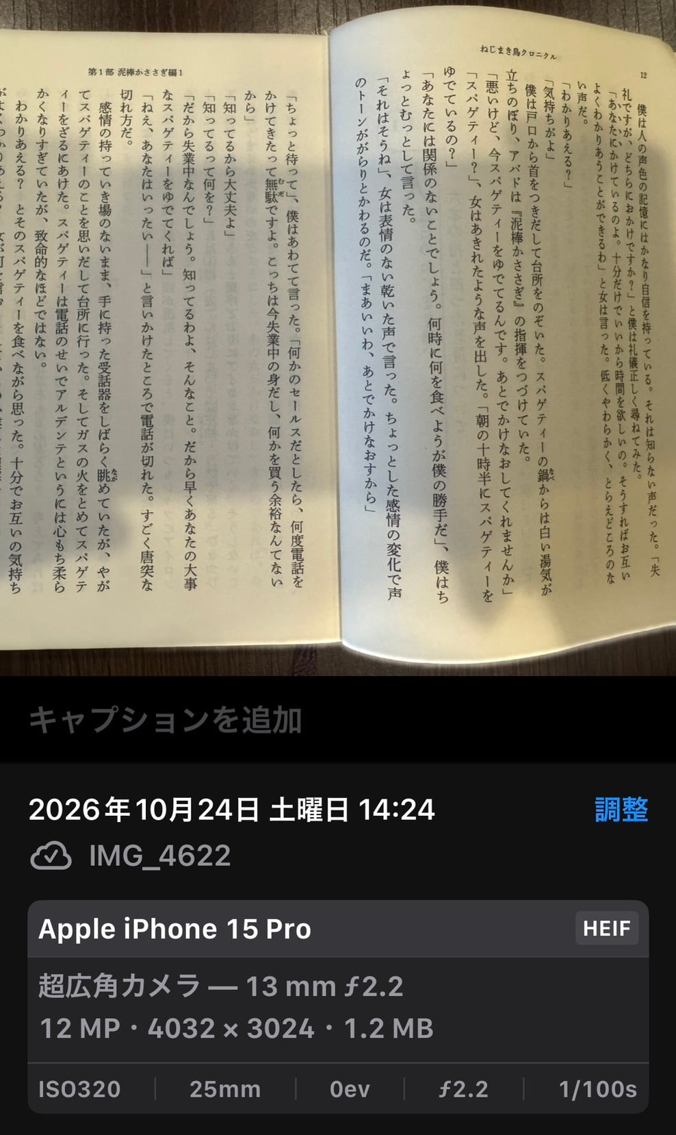 iPhone15 Proの12MP設定で撮影した写真の情報画面。超広角カメラ13mm、12MP、4,032×3,024、1.2MBと表示